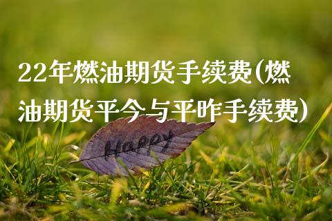 22年燃油期货手续费(燃油期货平今与平昨手续费)_https://www.xmqjcw.com_期货百科_第1张