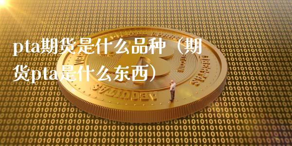 pta期货是什么品种（期货pta是什么东西）_https://www.xmqjcw.com_期货直播室_第1张