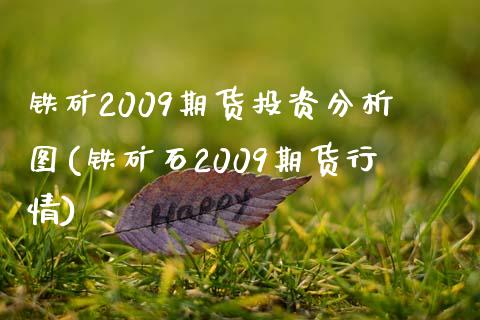 铁矿2009期货投资分析图(铁矿石2009期货行情)_https://www.xmqjcw.com_期货百科_第1张