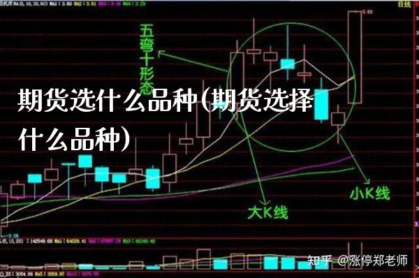 期货选什么品种(期货选择什么品种)_https://www.xmqjcw.com_期货百科_第1张