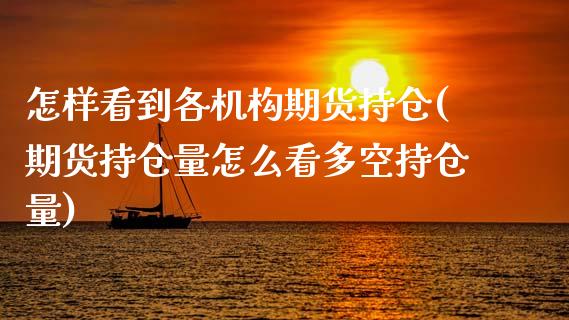 怎样看到各机构期货持仓(期货持仓量怎么看多空持仓量)_https://www.xmqjcw.com_期货百科_第1张