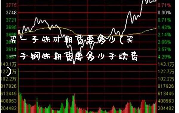 买一手铁矿期货要多少(买一手钢铁期货要多少手续费)_https://www.xmqjcw.com_期货百科_第1张