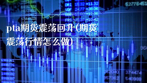 pta期货震荡回升(期货震荡行情怎么做)_https://www.xmqjcw.com_股票投资_第1张