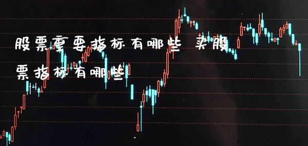 股票重要指标有哪些 买股票指标有哪些_https://www.xmqjcw.com_股票投资_第1张