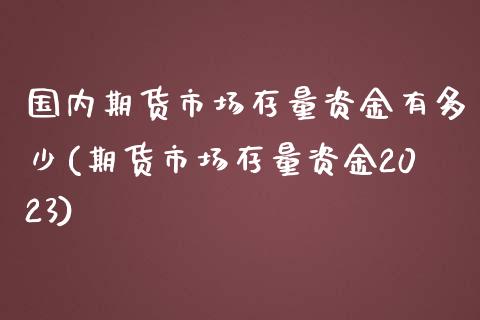 国内期货市场存量资金有多少(期货市场存量资金2023)_https://www.xmqjcw.com_期货百科_第1张