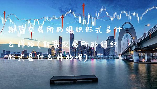 期货交易所的组织形式是什么样的(期货交易所的组织形式是什么样的呢)_https://www.xmqjcw.com_期货投资_第1张