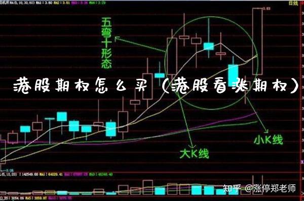 港股期权怎么买（港股看涨期权）_https://www.xmqjcw.com_期货直播室_第1张