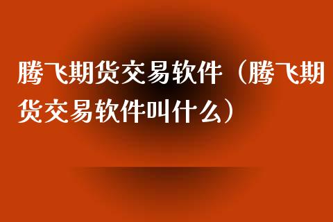 腾飞期货交易软件（腾飞期货交易软件叫什么）_https://www.xmqjcw.com_期货投资_第1张