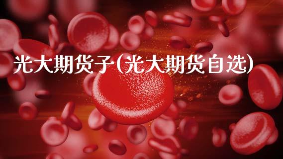 光大期货子(光大期货自选)_https://www.xmqjcw.com_期货行情_第1张