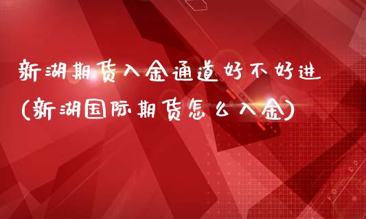 新湖期货入金通道好不好进(新湖国际期货怎么入金)_https://www.xmqjcw.com_期货百科_第1张