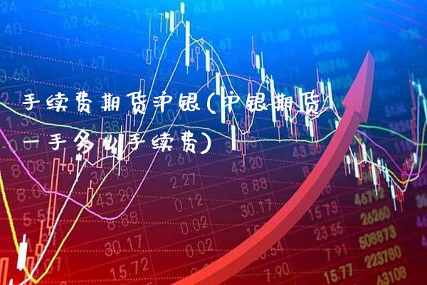 手续费期货沪银(沪银期货一手多少手续费)_https://www.xmqjcw.com_期货投资_第1张