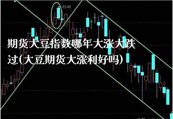 期货大豆指数哪年大涨大跌过(大豆期货大涨利好吗)_https://www.xmqjcw.com_期货百科_第1张