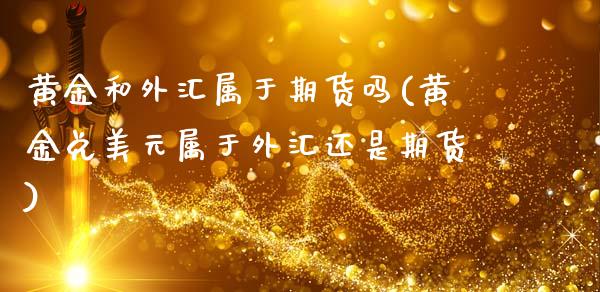 黄金和外汇属于期货吗(黄金兑美元属于外汇还是期货)_https://www.xmqjcw.com_期货百科_第1张
