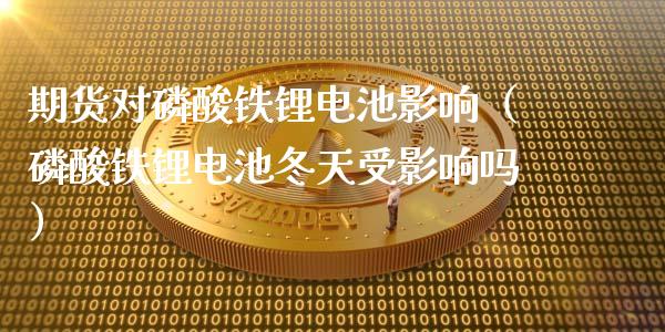 期货对*酸铁锂电池影响（*酸铁锂电池冬天受影响吗）_https://www.xmqjcw.com_期货直播室_第1张