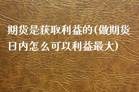 期货是获取利益的(做期货日内怎么可以利益最大)_https://www.xmqjcw.com_期货投资_第1张