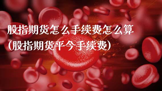 股指期货怎么手续费怎么算(股指期货平今手续费)_https://www.xmqjcw.com_期货开户_第1张
