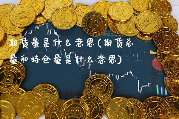 期货量是什么意思(期货总量和持仓量是什么意思)_https://www.xmqjcw.com_期货百科_第1张
