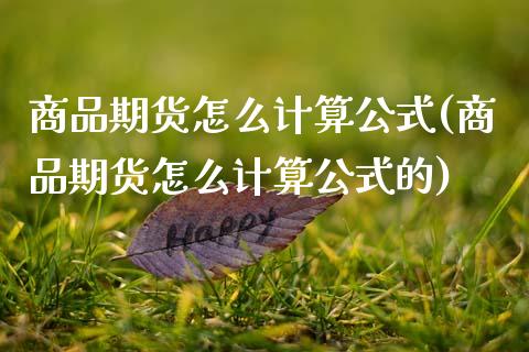 商品期货怎么计算公式(商品期货怎么计算公式的)_https://www.xmqjcw.com_期货直播室_第1张