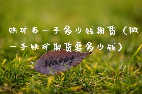 铁矿石一手多少钱期货（做一手铁矿期货要多少钱）_https://www.xmqjcw.com_期货投资_第1张