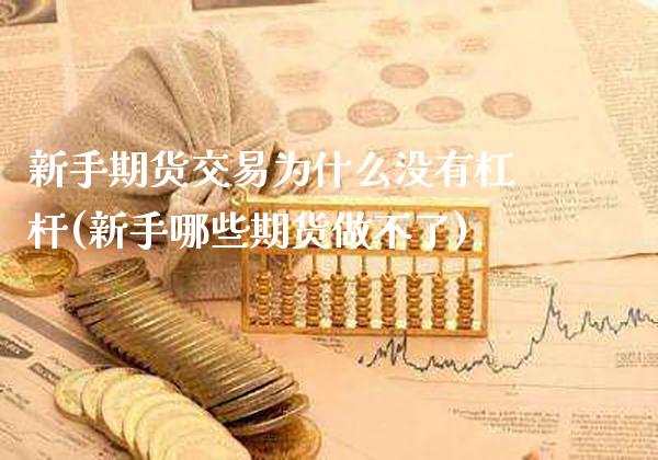 新手期货交易为什么没有杠杆(新手哪些期货做不了)_https://www.xmqjcw.com_期货百科_第1张
