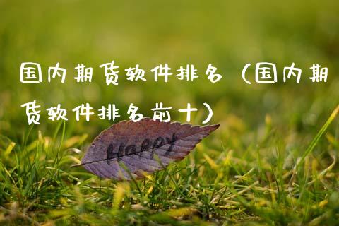 国内期货软件排名（国内期货软件排名前十）_https://www.xmqjcw.com_期货直播室_第1张