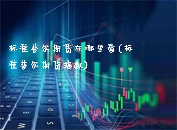 标准普尔期货在哪里看(标准普尔期货指数)_https://www.xmqjcw.com_期货投资_第1张