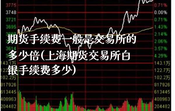 期货手续费一般是交易所的多少倍(上海期货交易所白银手续费多少)_https://www.xmqjcw.com_期货百科_第1张
