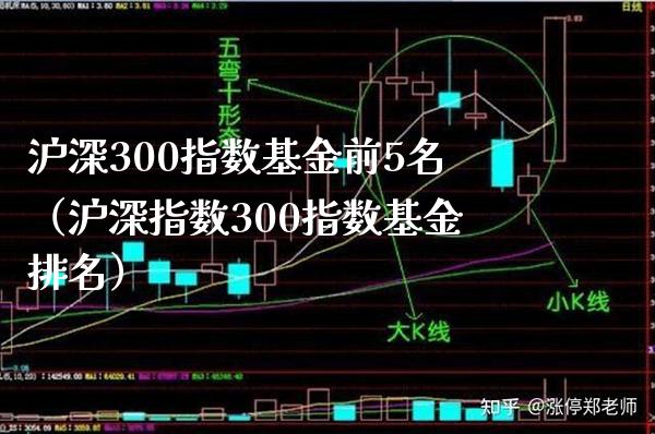 沪深300指数基金前5名（沪深指数300指数基金排名）_https://www.xmqjcw.com_期货直播室_第1张