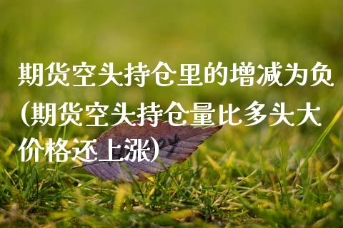 期货空头持仓里的增减为负(期货空头持仓量比多头大价格还上涨)_https://www.xmqjcw.com_期货行情_第1张