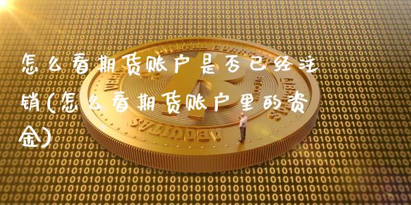 怎么看期货账户是否已经注销(怎么看期货账户里的资金)_https://www.xmqjcw.com_股票投资_第1张