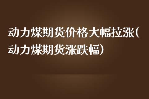 动力煤期货价格大幅拉涨(动力煤期货涨跌幅)_https://www.xmqjcw.com_期货百科_第1张