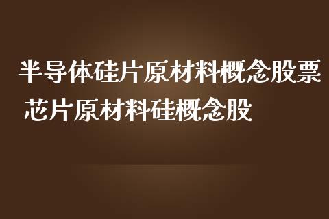 半导体硅片原材料概念股票 芯片原材料硅概念股_https://www.xmqjcw.com_股票投资_第1张