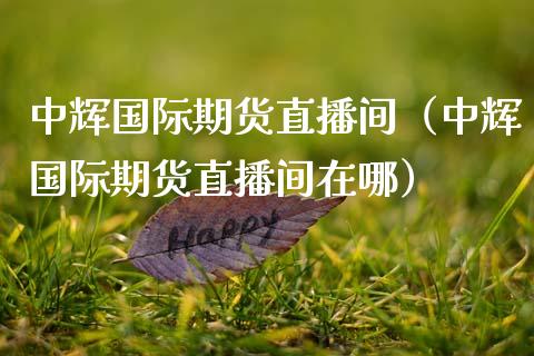 中辉国际期货直播间（中辉国际期货直播间在哪）_https://www.xmqjcw.com_期货行情_第1张