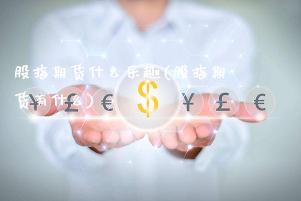 股指期货什么乐趣(股指期货有什么)_https://www.xmqjcw.com_期货百科_第1张