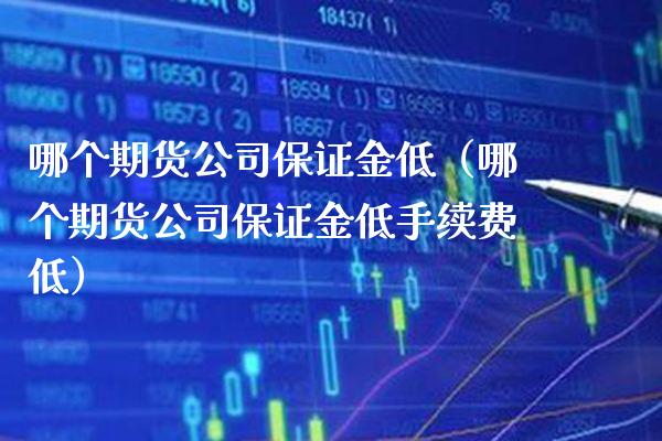 哪个期货公司保证金低（哪个期货公司保证金低手续费低）_https://www.xmqjcw.com_期货行情_第1张