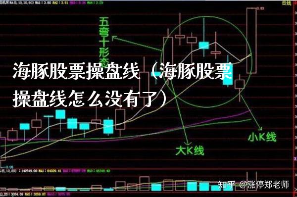 海豚股票操盘线（海豚股票操盘线怎么没有了）_https://www.xmqjcw.com_股票投资_第1张