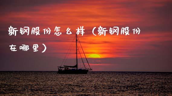 新钢股份怎么样（新钢股份在哪里）_https://www.xmqjcw.com_期货直播室_第1张