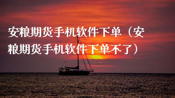 安粮期货手机软件下单（安粮期货手机软件下单不了）_https://www.xmqjcw.com_期货直播室_第1张