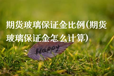 期货玻璃保证金比例(期货玻璃保证金怎么计算)_https://www.xmqjcw.com_期货行情_第1张