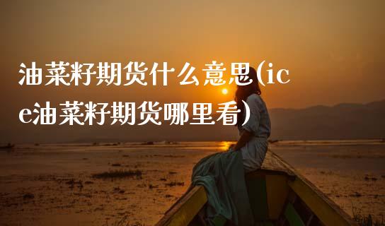 油菜籽期货什么意思(ice油菜籽期货哪里看)_https://www.xmqjcw.com_期货百科_第1张