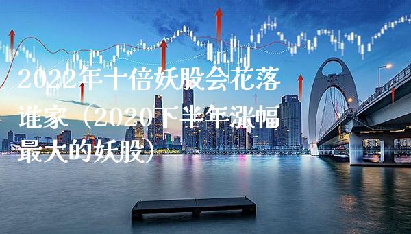 2022年十倍妖股会花落谁家（2020下半年涨幅最大的妖股）_https://www.xmqjcw.com_期货投资_第1张