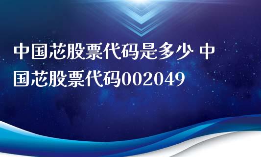 中国芯股票代码是多少 中国芯股票代码002049_https://www.xmqjcw.com_股票投资_第1张