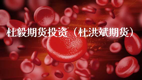 杜毅期货投资（杜洪斌期货）_https://www.xmqjcw.com_期货投资_第1张