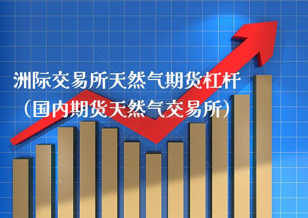 洲际交易所天然气期货杠杆（国内期货天然气交易所）_https://www.xmqjcw.com_期货直播室_第1张