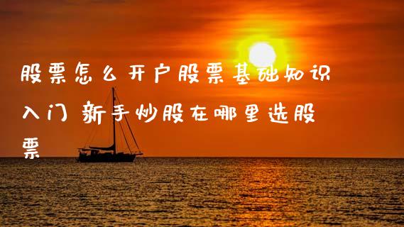 股票怎么开户股票基础知识入门 新手炒股在哪里选股票_https://www.xmqjcw.com_股票投资_第1张