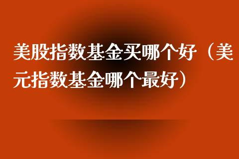 美股指数基金买哪个好（美元指数基金哪个最好）_https://www.xmqjcw.com_期货投资_第1张