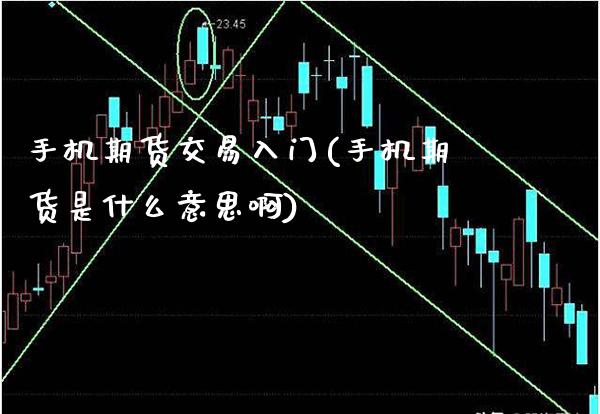 手机期货交易入门(手机期货是什么意思啊)_https://www.xmqjcw.com_期货投资_第1张