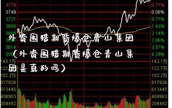 外资围猎期货爆仓青山集团（外资围猎期货爆仓青山集团是真的吗）_https://www.xmqjcw.com_期货行情_第1张