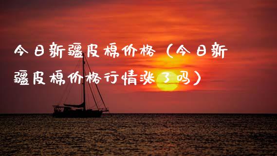今日新疆皮棉价格（今日新疆皮棉价格行情涨了吗）_https://www.xmqjcw.com_期货投资_第1张