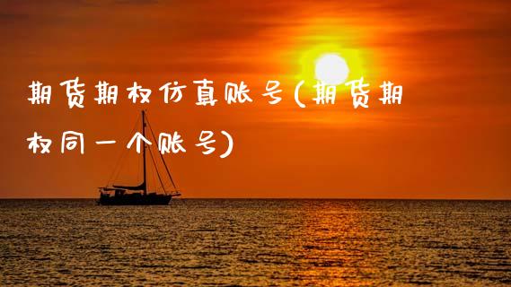 期货期权仿真账号(期货期权同一个账号)_https://www.xmqjcw.com_期货开户_第1张